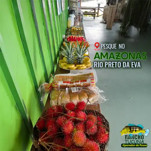 rio-preto-da-eva-amazonas-pescaria-rancho-tucuna-002