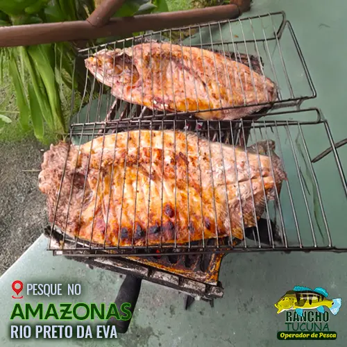 rio-preto-da-eva-amazonas-pescaria-rancho-tucuna-003