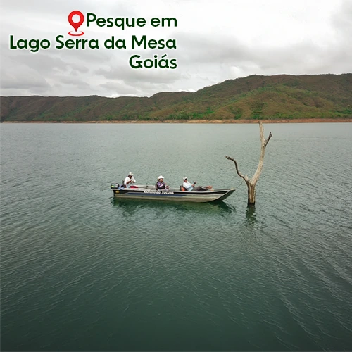 rancho-tucuna-lago-serra-da-mesa-pesca-esportiva, pousada no serra da mesa, lago serra da mesa, pescaria, tucunaré
