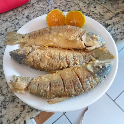 rio-guaporé-tucuna-turismo-pesca-esportiva, pescaria em rondônia, pesca na amazônia, pacote pesca no pantanal, pacote pesca no amazonas