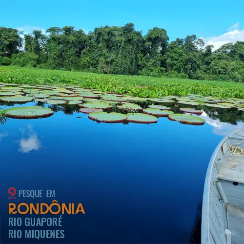 rio-guaporé-tucuna-turismo-pesca-esportiva, pescaria em rondônia, pesca na amazônia, pacote pesca no pantanal, pacote pesca no amazonas
