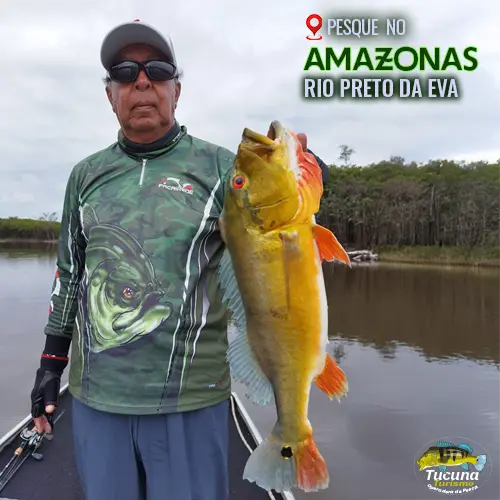 rio-preto-da-eva-amazonas-tucuna-turismo-pacote-de -pesca-pescaria-no-amazonas
