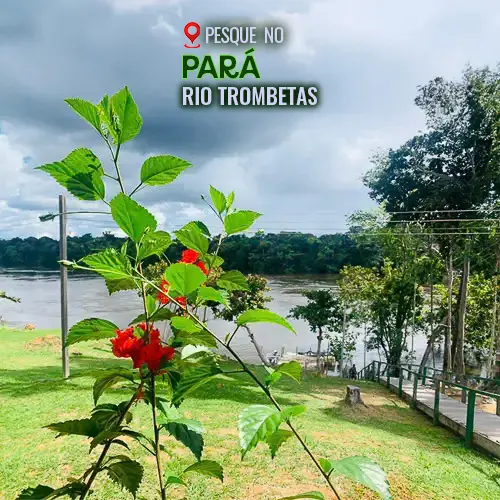 rio-tombetas-pará-tucuna-turismo-pesca-esportiva-pesca-no-amazonas