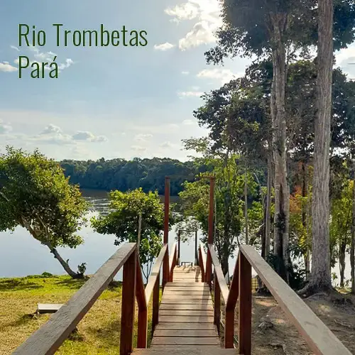 rio-tombetas-pará-tucuna-turismo-pesca-esportiva-pesca-no-amazonas