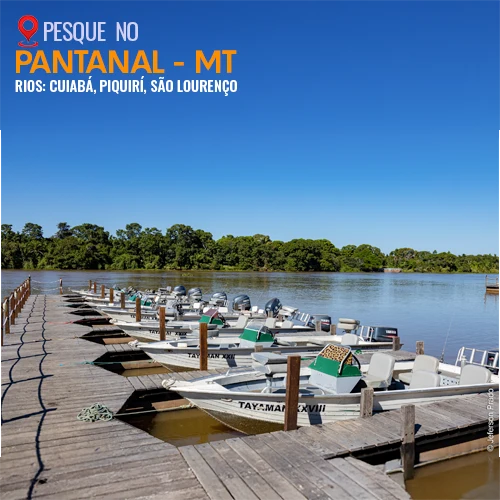 tucuna-turismo-operadora-de-pesca-pacote-pesca-no-pantanal, pescaria no pantanal