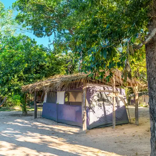 tucuna-turismo-operadora-de-pesca-rio-araguaia (15)