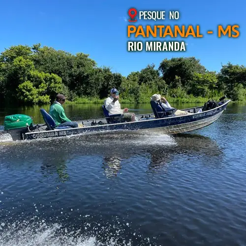tucuna-turismo-operadora-de-pesca-rio-miranda-pantanal-52