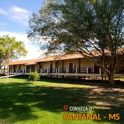 tucuna-turismo-operadora-de-pesca-rio-miranda-pantanal-59