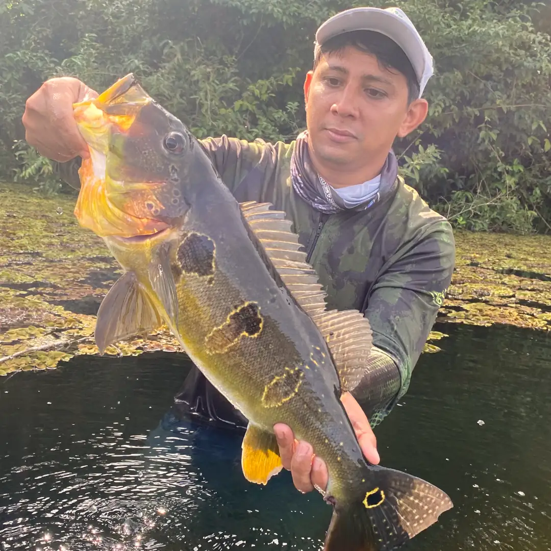 tucuna-turismo-rio-juruema-002