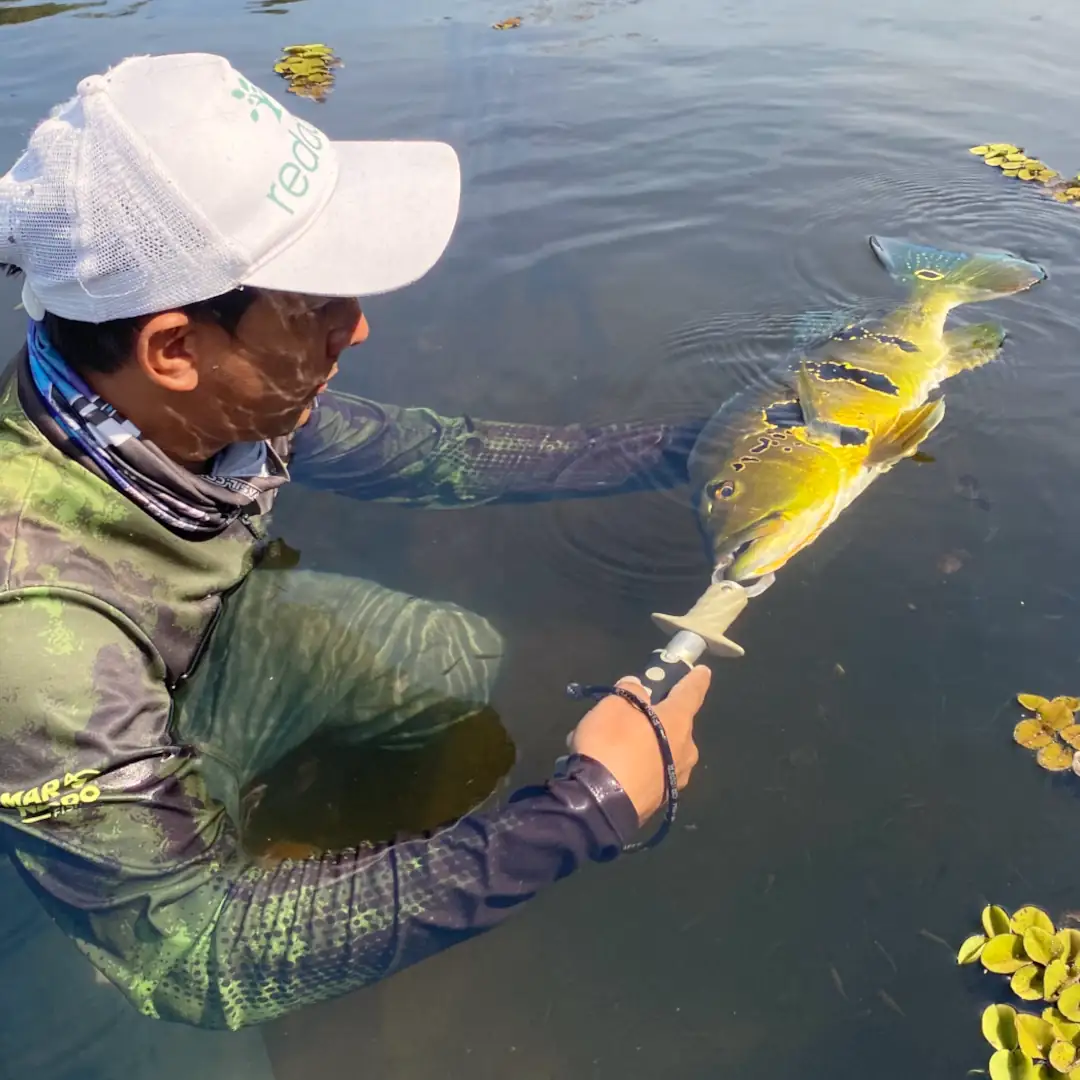 tucuna-turismo-rio-juruema-005