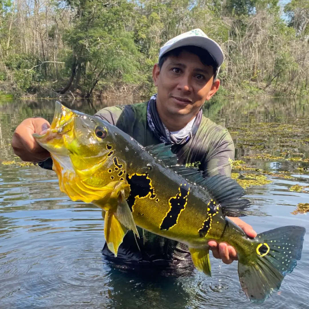 tucuna-turismo-rio-juruema-008