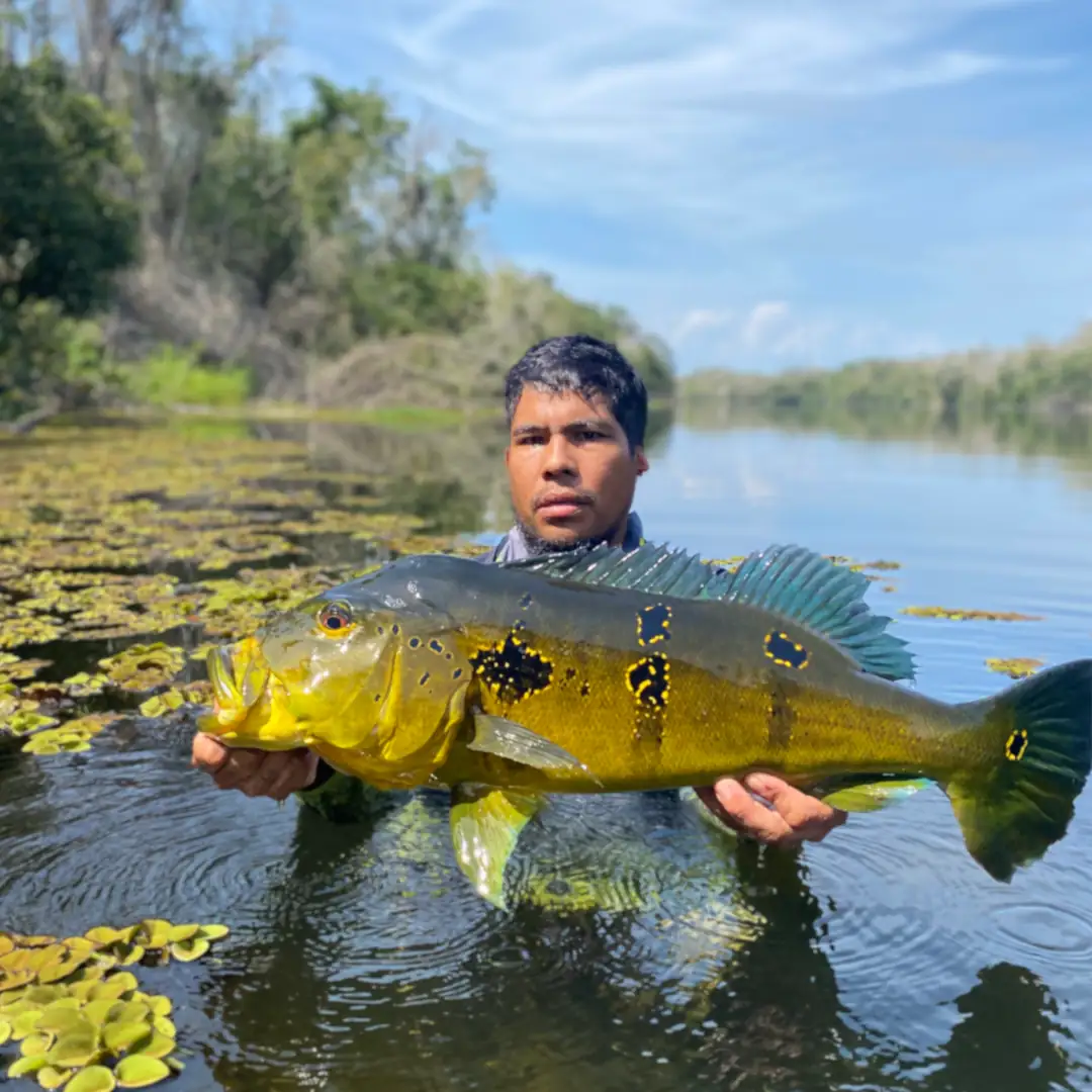 tucuna-turismo-rio-juruema-011