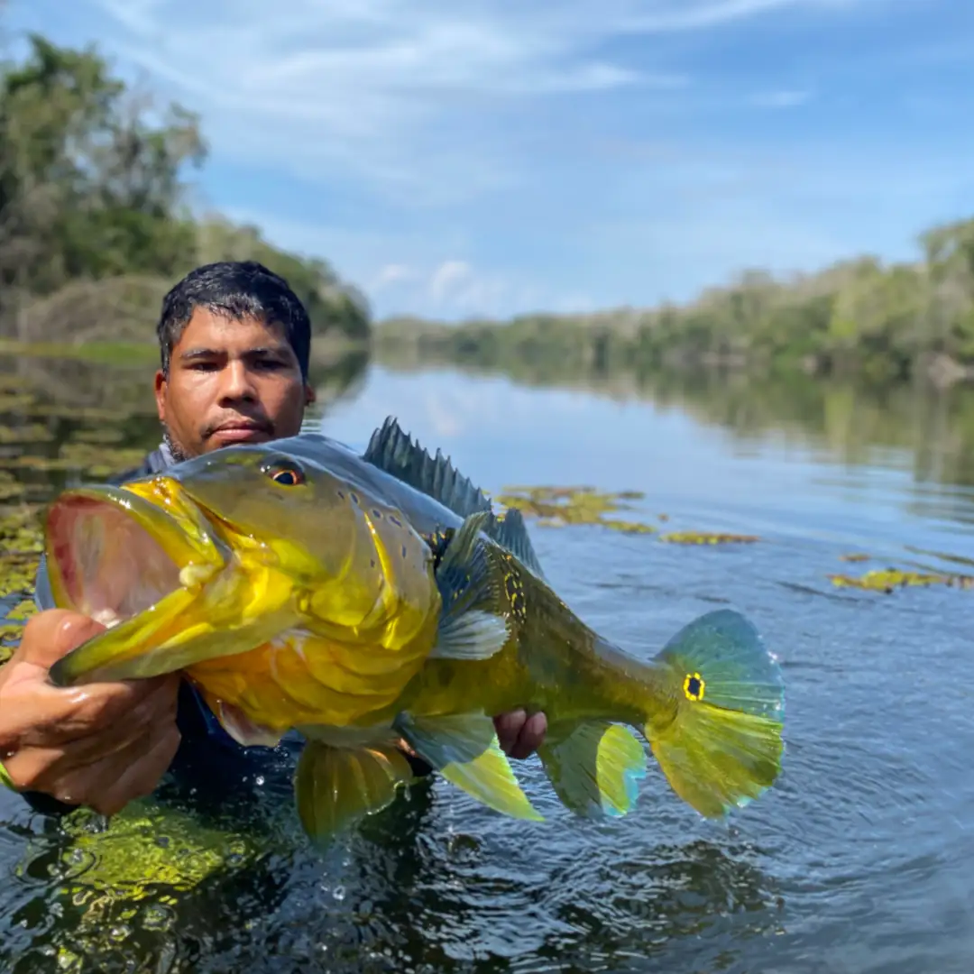tucuna-turismo-rio-juruema-012