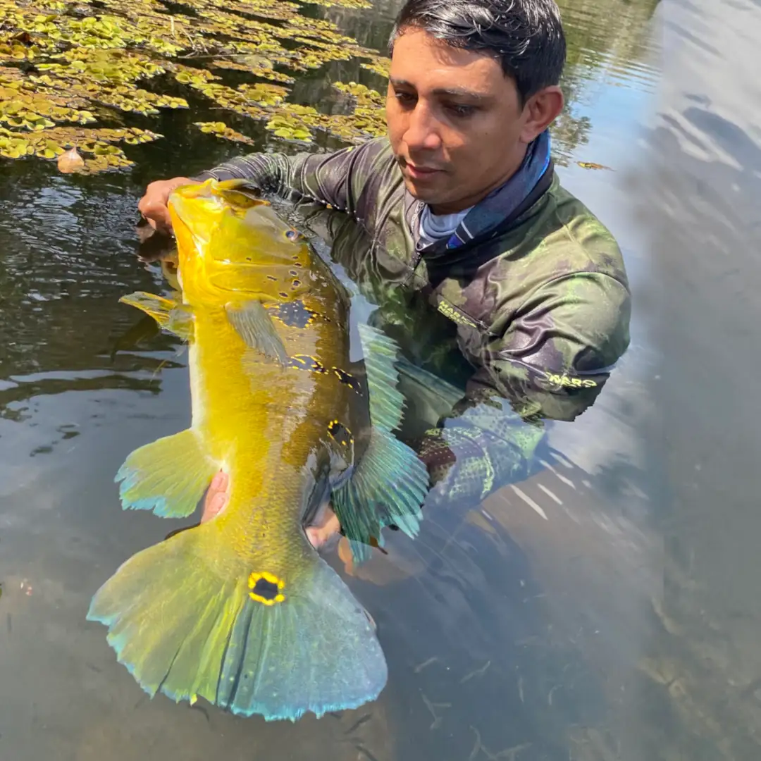 tucuna-turismo-rio-juruema-013