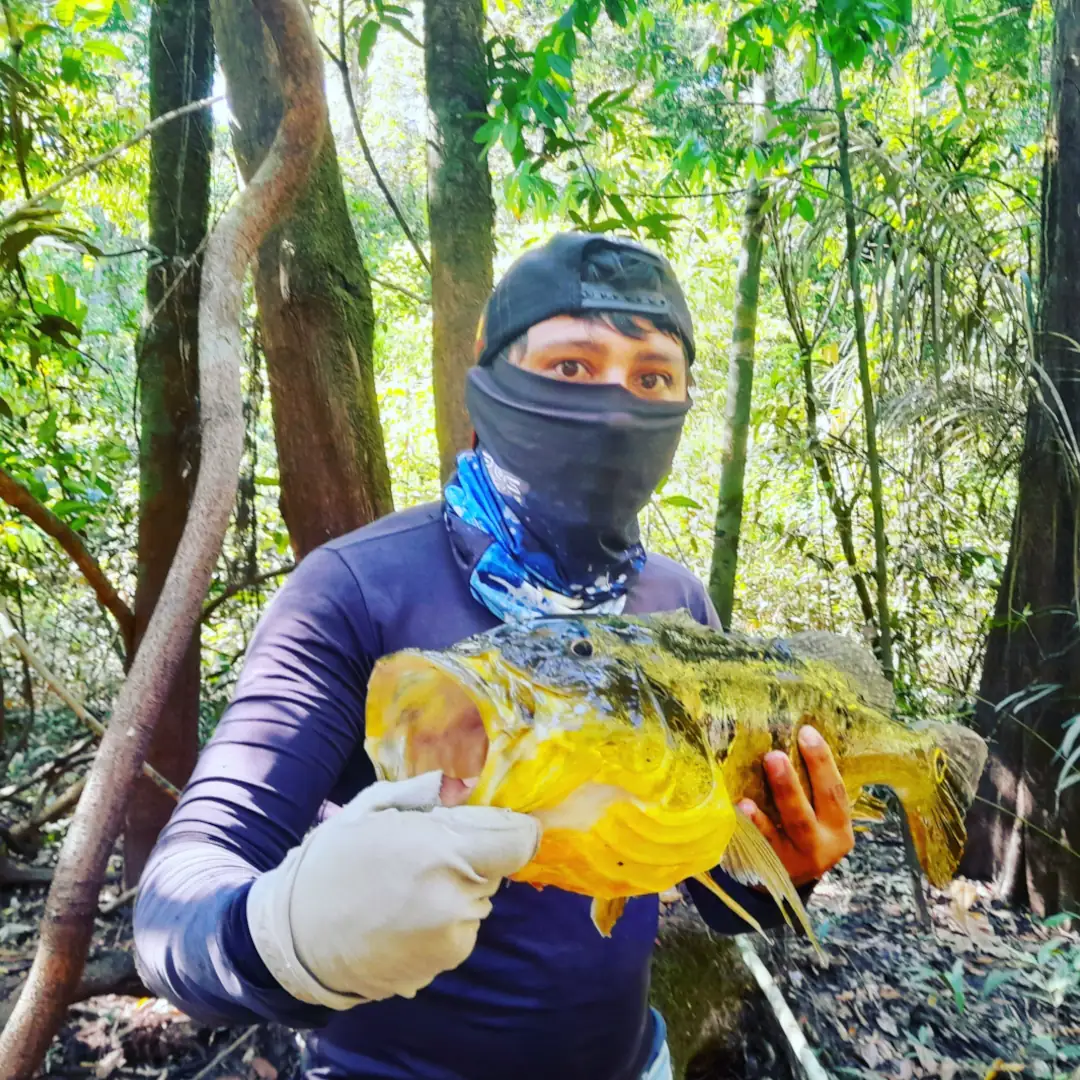 tucuna-turismo-rio-juruema-017