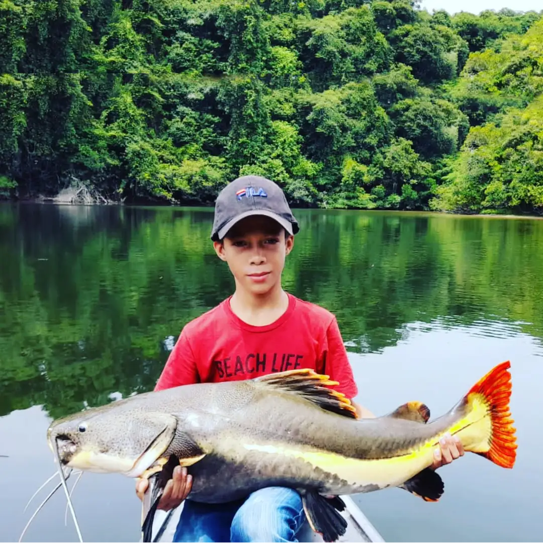 tucuna-turismo-rio-juruema-018