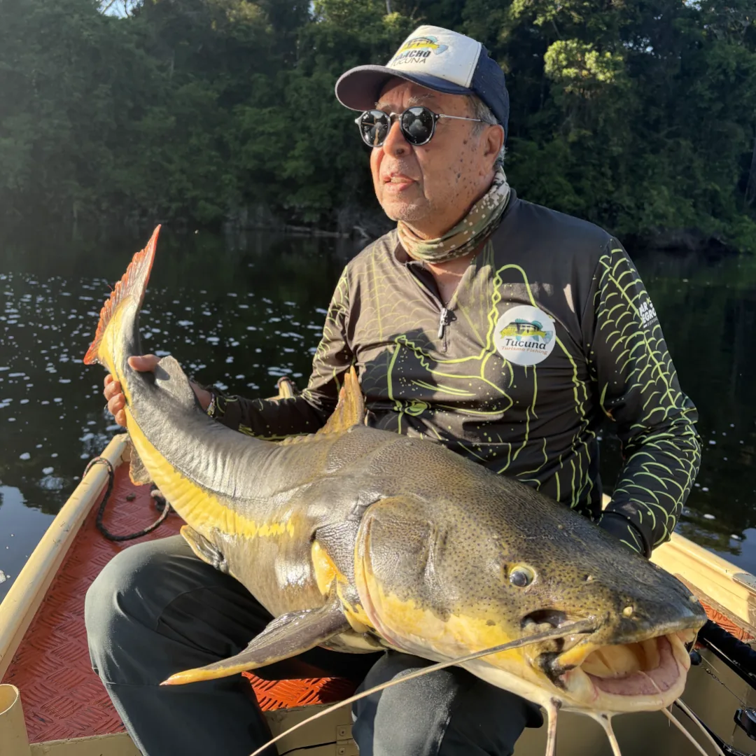 pesca-da-pirarara-no-amazonas-rio-teles-pires-pesca-esportiva-tucuna-turismi-fishing-