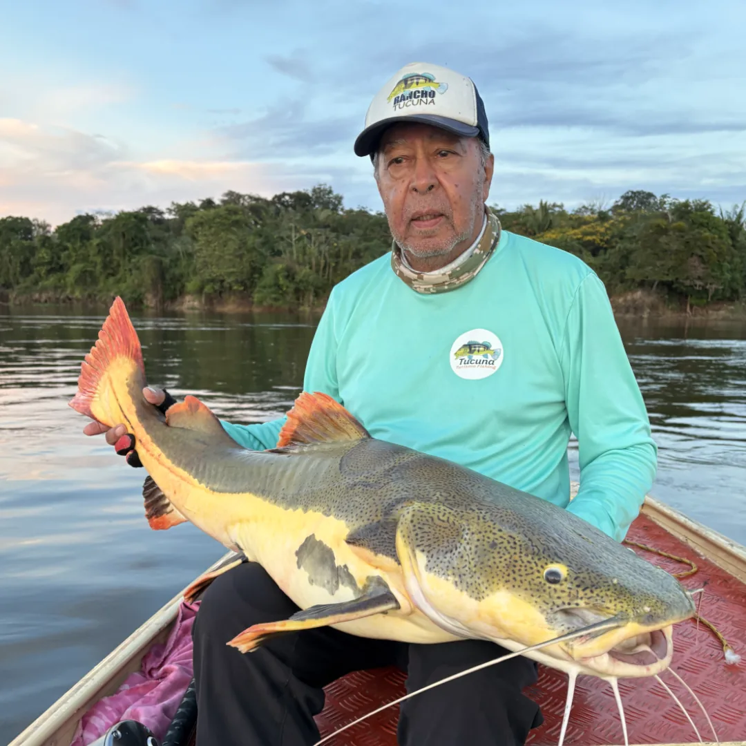 pescaria-piraiba-amazonas-rio-tapajos-pesca-esportiva-tucuna-turismi-fishing-