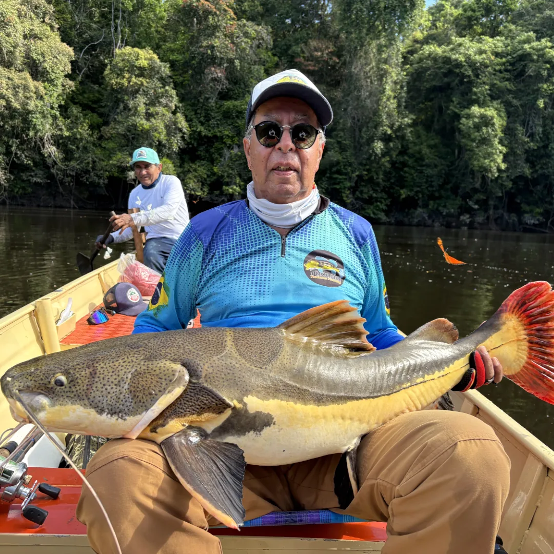 pirarara do amazonas, pesca dos gigantes, pescaria no amazonas, expedição de pesca