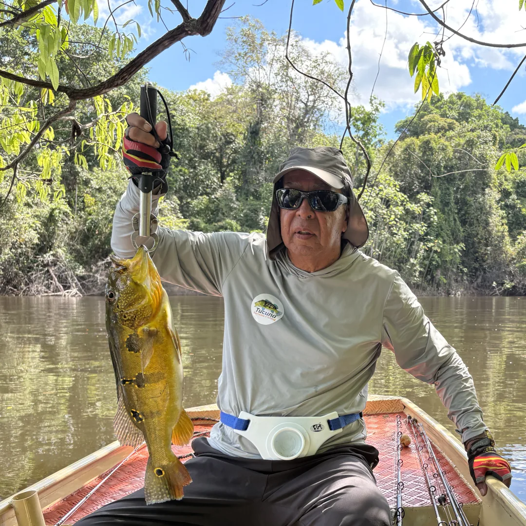 tucunare-no-amazonas-bararati-pesca-esportiva-tucuna-turismi-fishing-