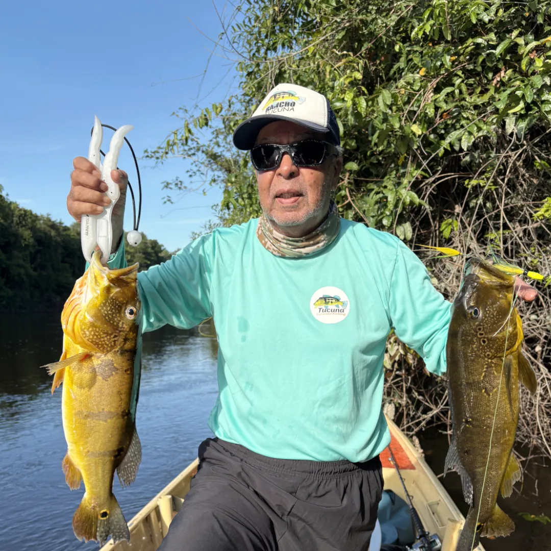 tucunare-no-amazonas-rio-teles-pires-pesca-esportiva-tucuna-turismi-fishing-