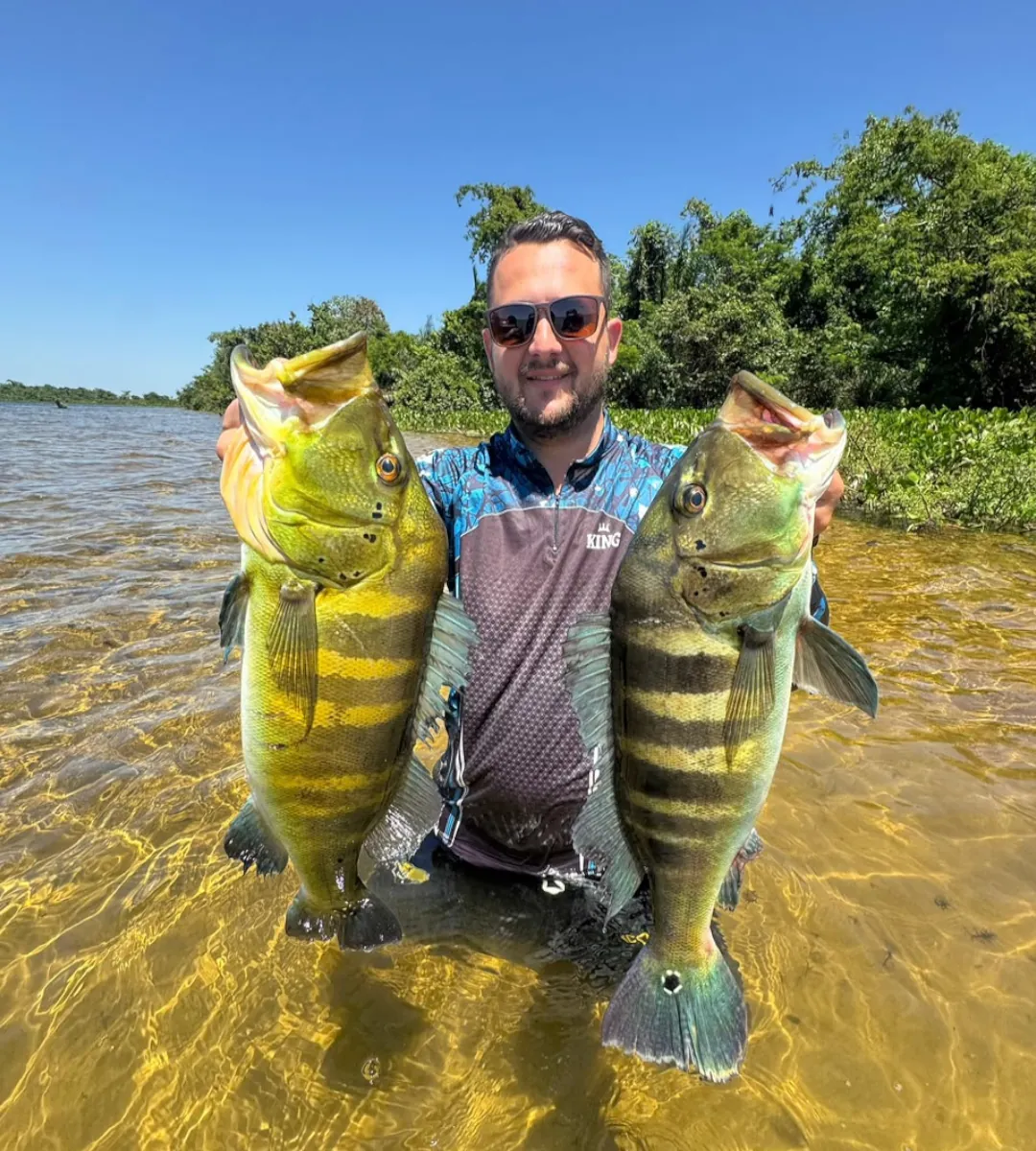 Procurando o destino certo para as férias? O Rancho dos Ipês em Panorama-SP combina descanso, pesca e diversão para todas as idades. Garanta sua vaga com a Tucuna Turismo!