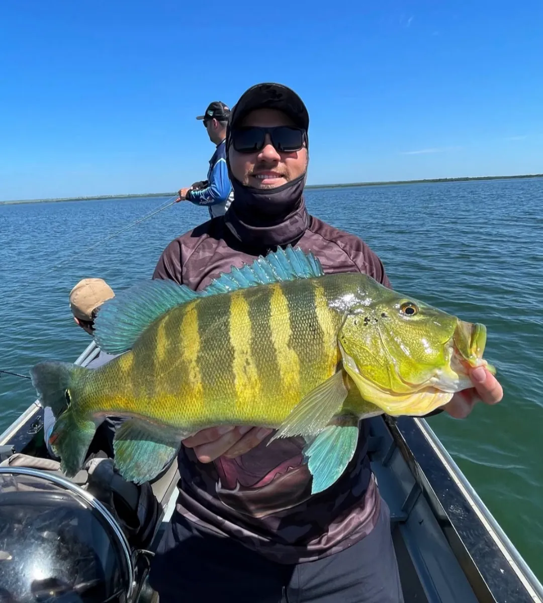 pacote de pesca do tucunaré em panorama no rio paraná