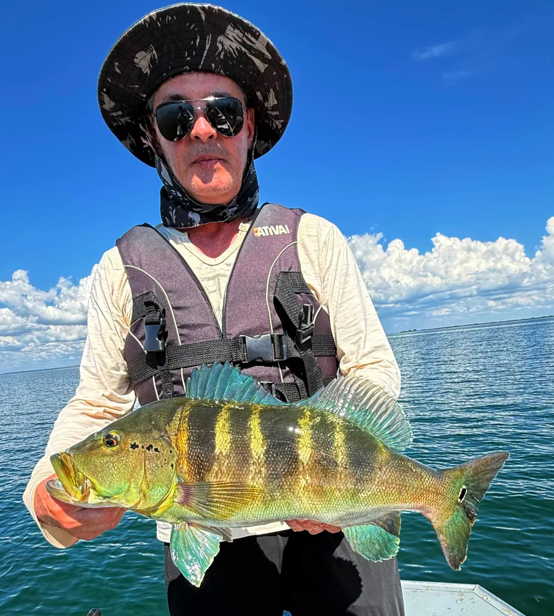 Reúna os amigos pescadores para uma jornada em Panorama-SP! Acomode seu grupo no Rancho dos Ipês e garanta uma estrutura preparada para o seu embarque. Fale com a Tucuna Turismo!
